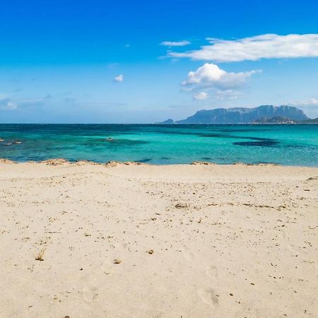 Le Dimore Di Nettuno Όλμπια Εξωτερικό φωτογραφία