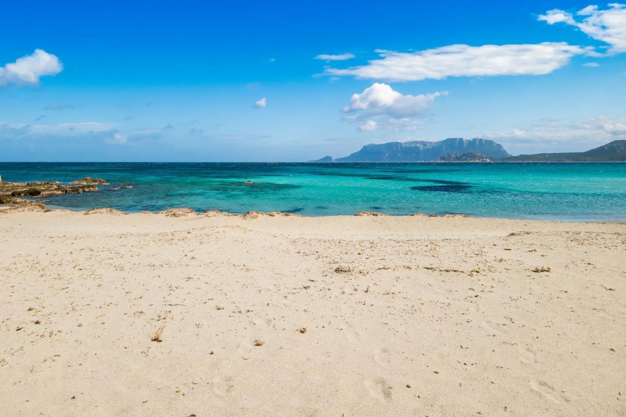 Le Dimore Di Nettuno Όλμπια Εξωτερικό φωτογραφία